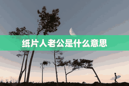 纸片人老公是什么意思(什么叫纸片人老公)